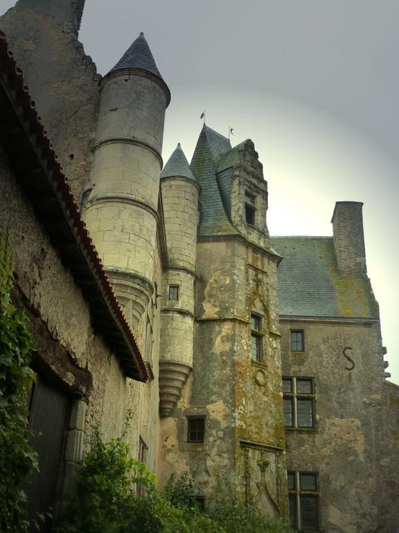 Отель Chateau De Vermette La Chapelle-Gaudin Номер фото