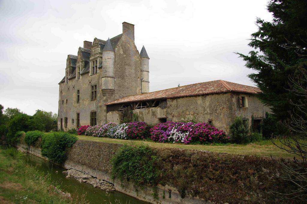 Отель Chateau De Vermette La Chapelle-Gaudin Экстерьер фото