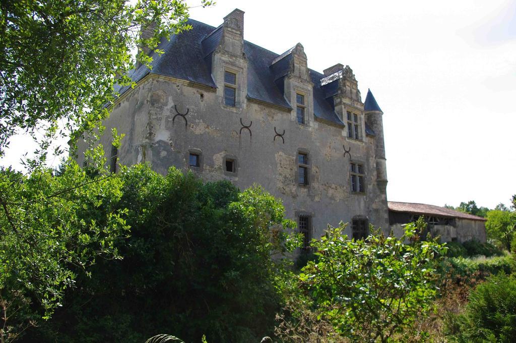 Отель Chateau De Vermette La Chapelle-Gaudin Экстерьер фото